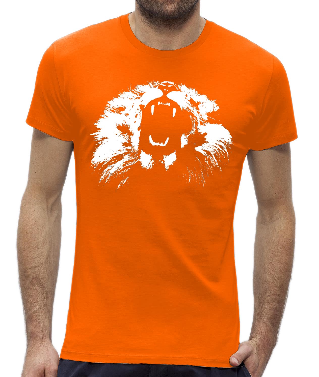 parlement Zeldzaamheid Demon Oranje koningsdag T-shirt heren - NewYorkFinest
